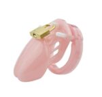 Short Penis Chastity Device With 5 Size Penis Ring