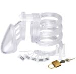 Short Penis Chastity Device With 5 Size Penis Ring