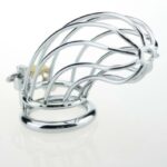 Stainless Steel Penis Ring Chastity Device