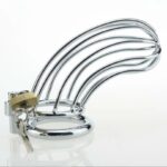 Stainless Steel Penis Ring Chastity Device