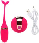 Vibrating Remote Control Kegel Egg USB Rechargeable